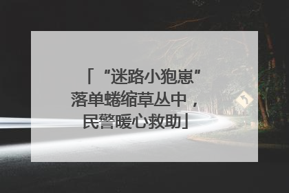 “迷路小狍崽”落单蜷缩草丛中，民警暖心救助