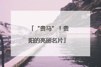 “贵马”！贵阳的亮丽名片
