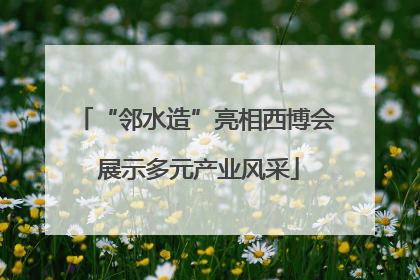 “邻水造”亮相西博会 展示多元产业风采