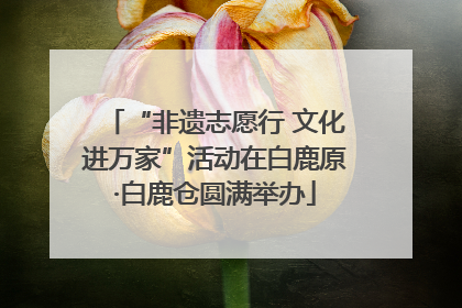“非遗志愿行 文化进万家”活动在白鹿原·白鹿仓圆满举办