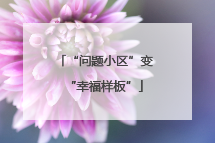 “问题小区”变“幸福样板”