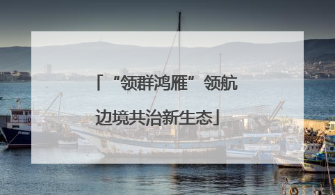 “领群鸿雁”领航边境共治新生态