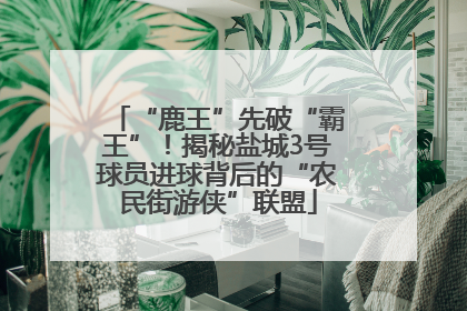 “鹿王”先破“霸王”！揭秘盐城3号球员进球背后的“农民街游侠”联盟