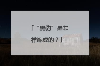 “黑豹”是怎样炼成的？