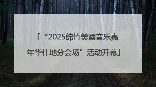“2025绵竹美酒音乐嘉年华什地分会场”活动开幕