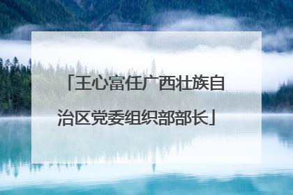 王心富任广西壮族自治区党委组织部部长