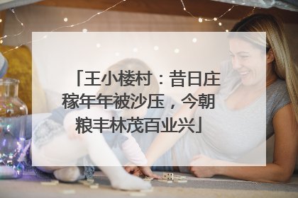 王小楼村：昔日庄稼年年被沙压，今朝粮丰林茂百业兴