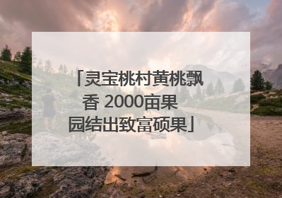 灵宝桃村黄桃飘香 2000亩果园结出致富硕果