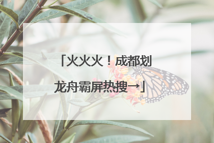 火火火！成都划龙舟霸屏热搜→