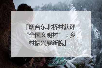 烟台东北桥村获评“全国文明村”：乡村振兴展新貌