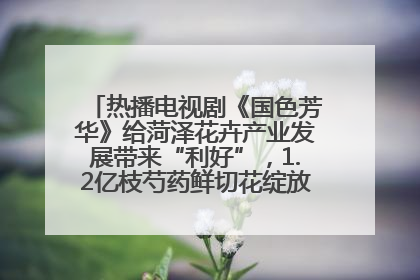 热播电视剧《国色芳华》给菏泽花卉产业发展带来“利好”，1.2亿枝芍药鲜切花绽放“国色芳华”