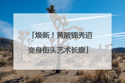 焕新！黄陂锦秀道变身街头艺术长廊