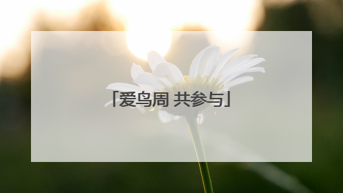爱鸟周 共参与