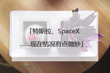 特斯拉、SpaceX……现在情况有点微妙