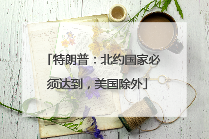 特朗普：北约国家必须达到，美国除外