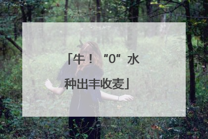 牛！“0”水种出丰收麦