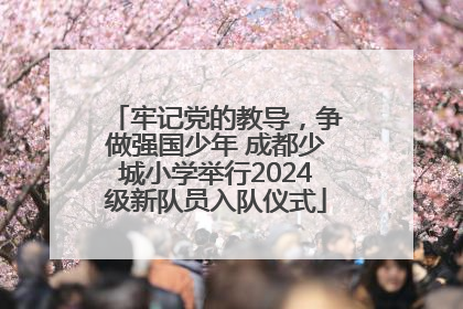 牢记党的教导，争做强国少年 成都少城小学举行2024级新队员入队仪式