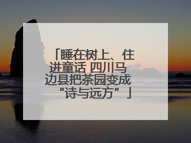睡在树上、住进童话 四川马边县把茶园变成“诗与远方”