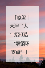 瞭望｜天津“大”招打造“双循环支点”