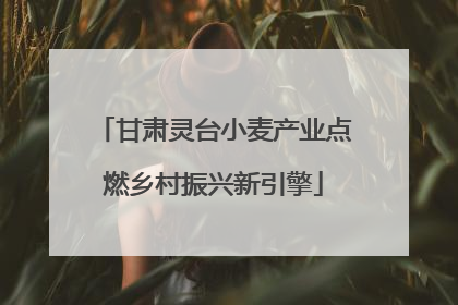 甘肃灵台小麦产业点燃乡村振兴新引擎
