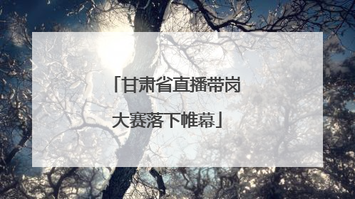 甘肃省直播带岗大赛落下帷幕