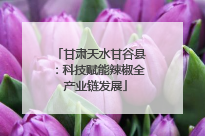 甘肃天水甘谷县：科技赋能辣椒全产业链发展