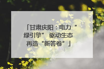 甘肃庆阳：电力“绿引擎” 驱动生态再造“新答卷”