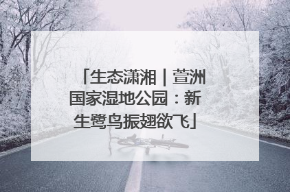 生态潇湘｜萱洲国家湿地公园：新生鹭鸟振翅欲飞