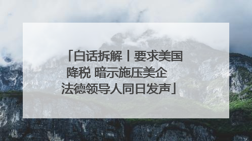 白话拆解丨要求美国降税 暗示施压美企 法德领导人同日发声
