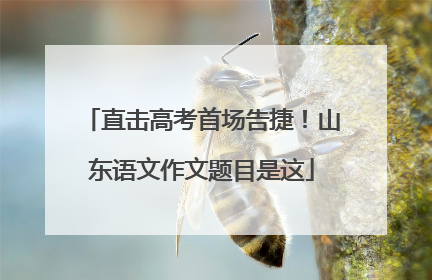 直击高考首场告捷！山东语文作文题目是这