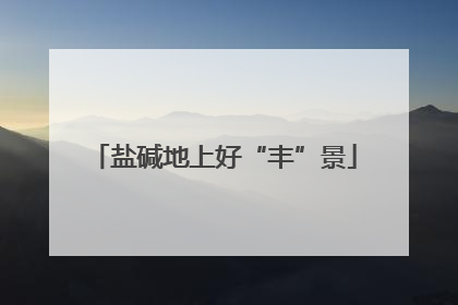 盐碱地上好“丰”景