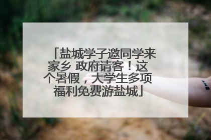 盐城学子邀同学来家乡 政府请客！这个暑假，大学生多项福利免费游盐城