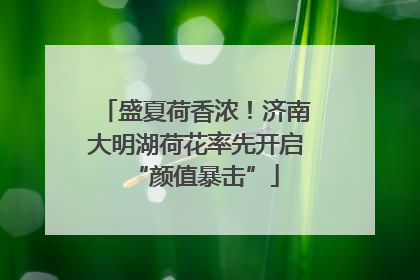 盛夏荷香浓！济南大明湖荷花率先开启“颜值暴击”