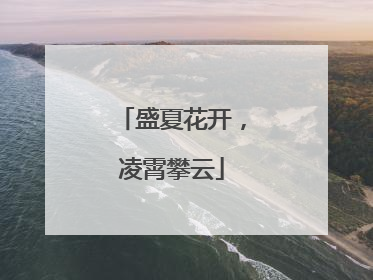 盛夏花开，凌霄攀云