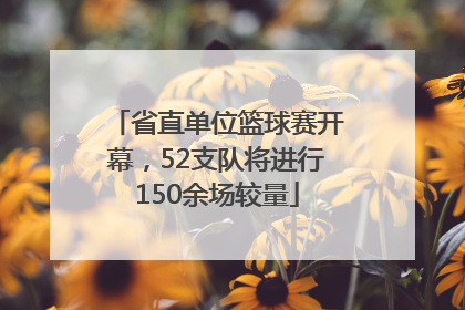 省直单位篮球赛开幕，52支队将进行150余场较量