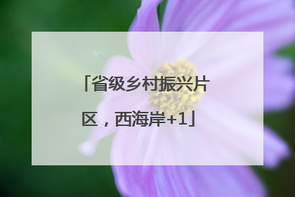 省级乡村振兴片区，西海岸+1