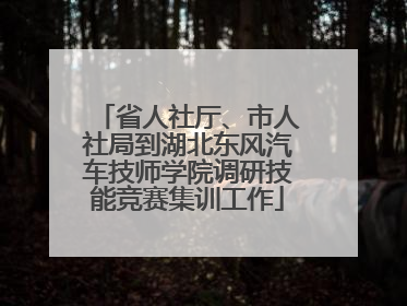 省人社厅、市人社局到湖北东风汽车技师学院调研技能竞赛集训工作