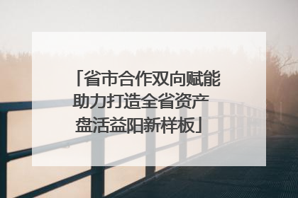 省市合作双向赋能 助力打造全省资产盘活益阳新样板