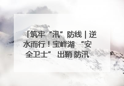 筑牢“汛”防线｜逆水而行！宝峰湖 “安全卫士” 出鞘 防汛应急再添硬核力量