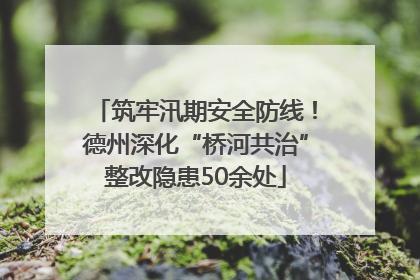 筑牢汛期安全防线！德州深化“桥河共治”整改隐患50余处