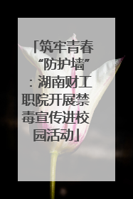 筑牢青春“防护墙”：湖南财工职院开展禁毒宣传进校园活动