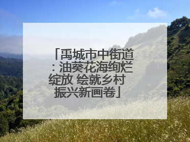 禹城市中街道：油葵花海绚烂绽放 绘就乡村振兴新画卷