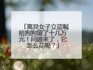 离异女子立遗嘱给狗狗留了十几万元！问题来了，它怎么花呢？