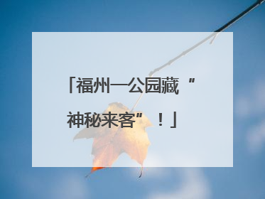 福州一公园藏“神秘来客”！