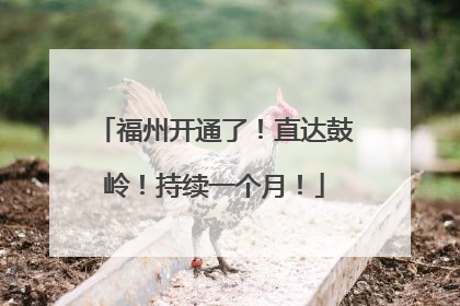 福州开通了！直达鼓岭！持续一个月！