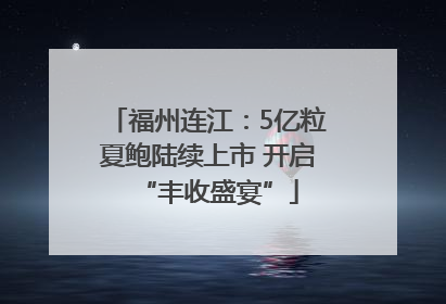 福州连江：5亿粒夏鲍陆续上市 开启“丰收盛宴”