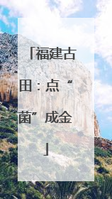 福建古田：点“菌”成金