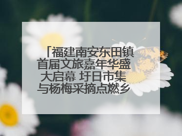 福建南安东田镇首届文旅嘉年华盛大启幕 圩日市集与杨梅采摘点燃乡村振兴新动能