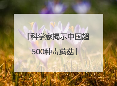 科学家揭示中国超500种毒蘑菇