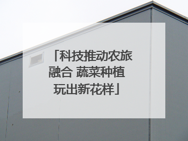 科技推动农旅融合 蔬菜种植玩出新花样